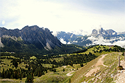 panorama in summer