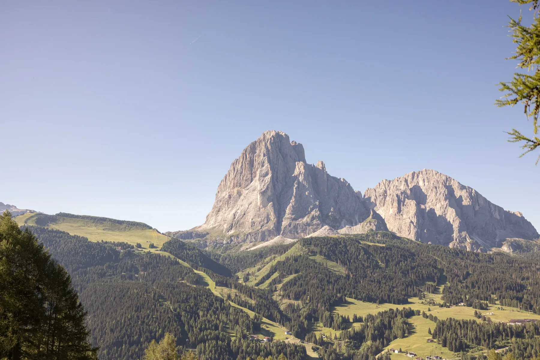 Cime delle Dolomiti sopra il prato alpino
