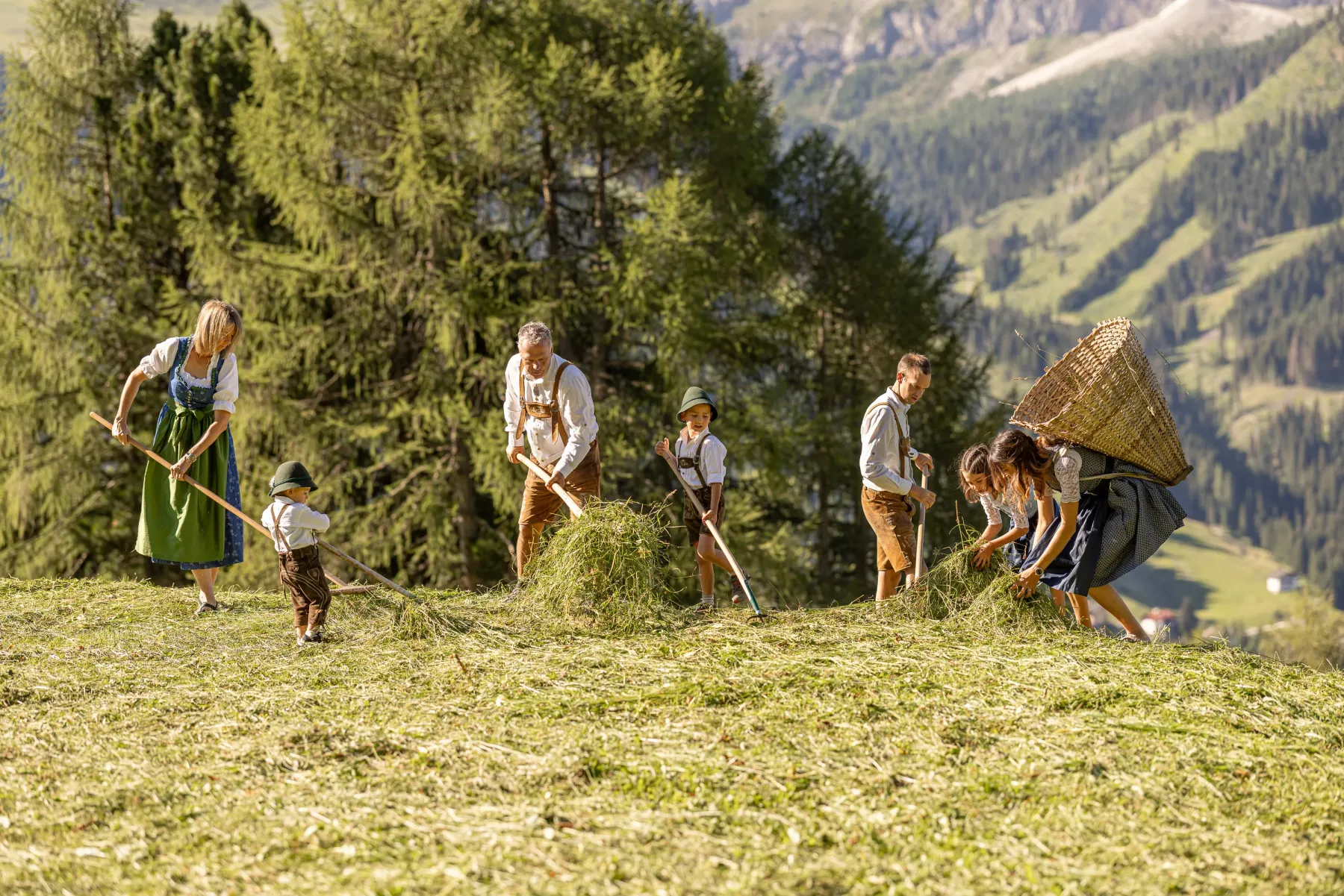 Famiglia durante la fienagione sul prato alpino