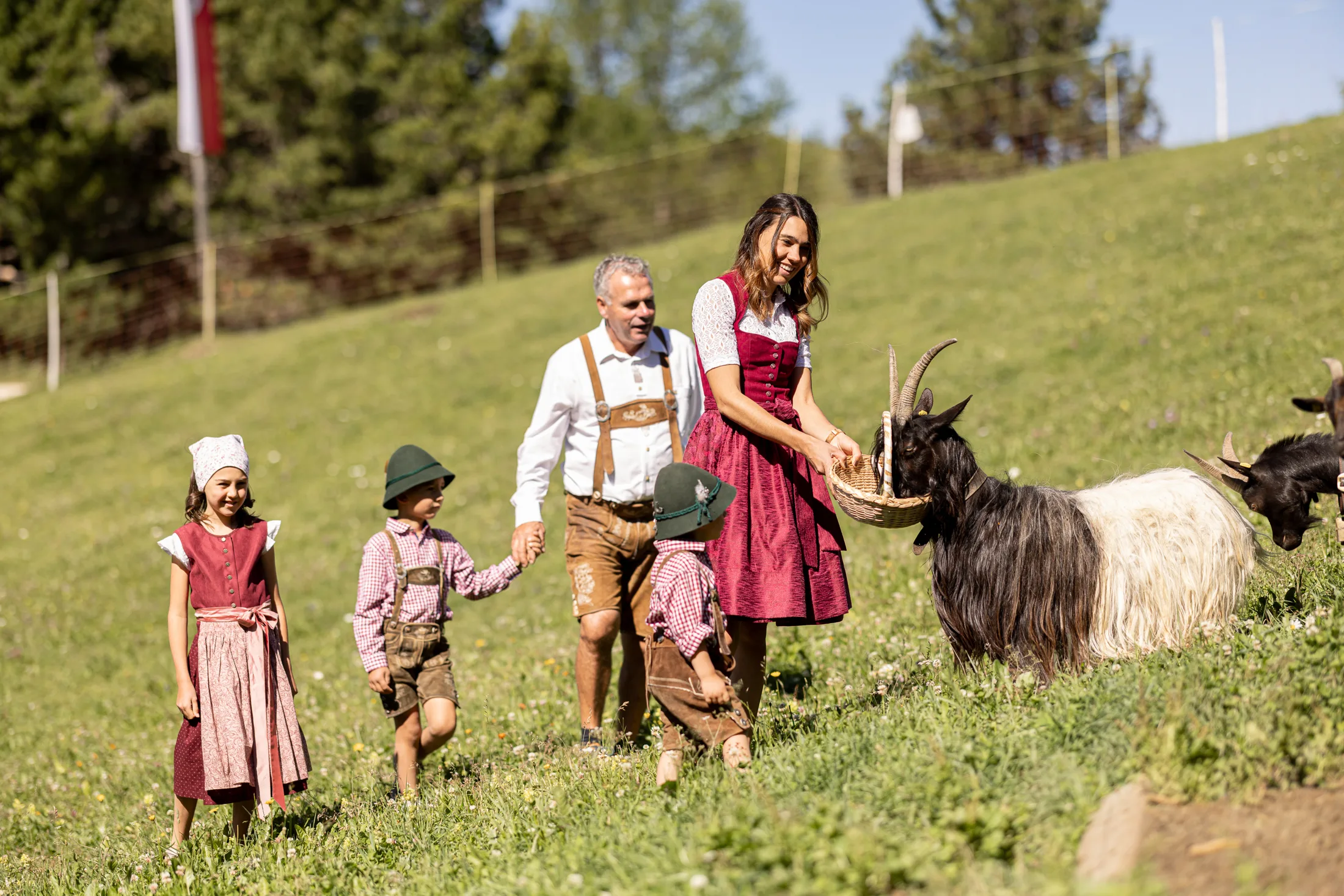 Famiglia con le capre sul prato alpino