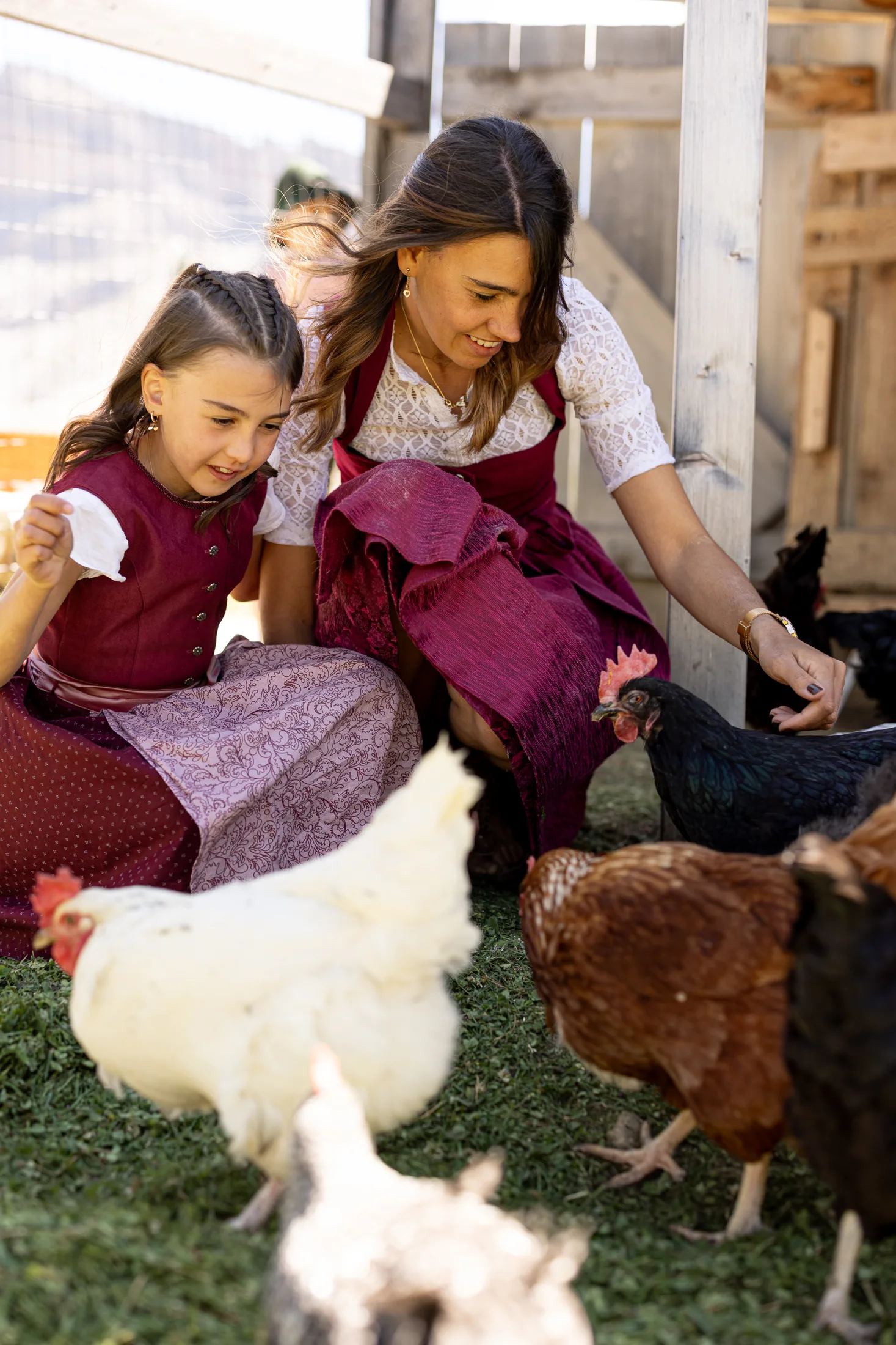 Madre e figlia danno da mangiare alle galline