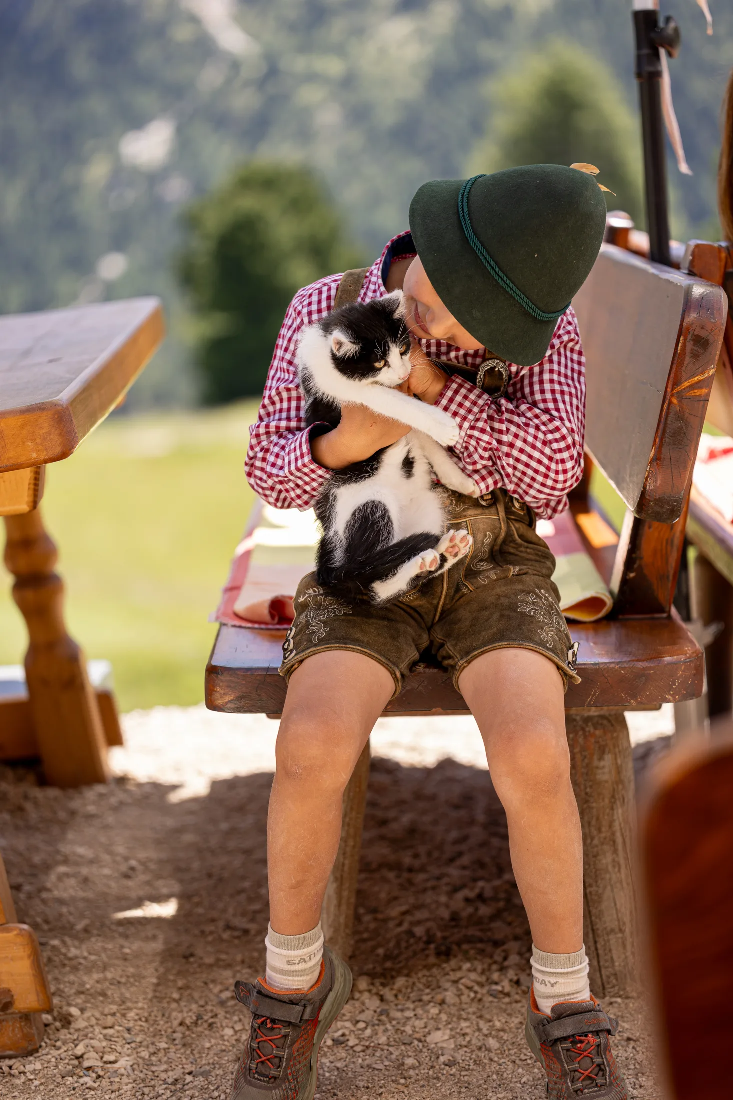 Ragazzo con il gatto sulla panca di legno